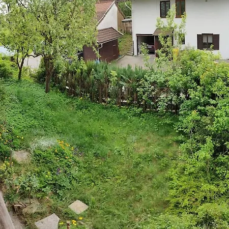 Lägenhet Grosse Mit Dachterrasse