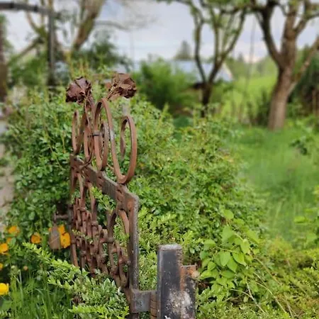 Lägenhet Grosse Mit Dachterrasse