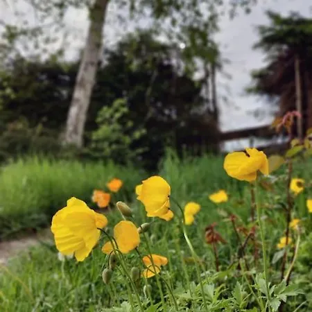 Grosse Mit Dachterrasse * Saulgrub