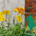 Grosse Mit Dachterrasse דירה