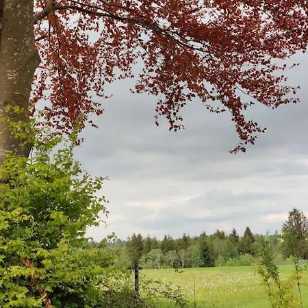 Apartment Grosse Mit Dachterrasse *